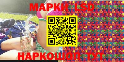 крисы Шахты