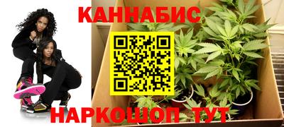 крисы Шахты
