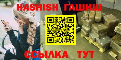 крисы Шахты