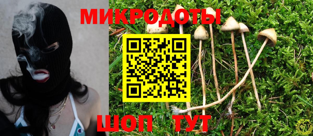 Галлюциногенные грибы Psilocybe Аша