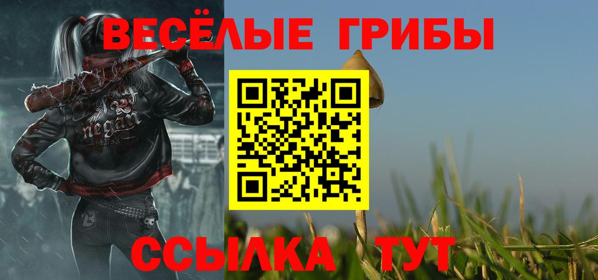 Аша  Псилоцибиновые грибы мицелий  закладки  Вход с VPN 